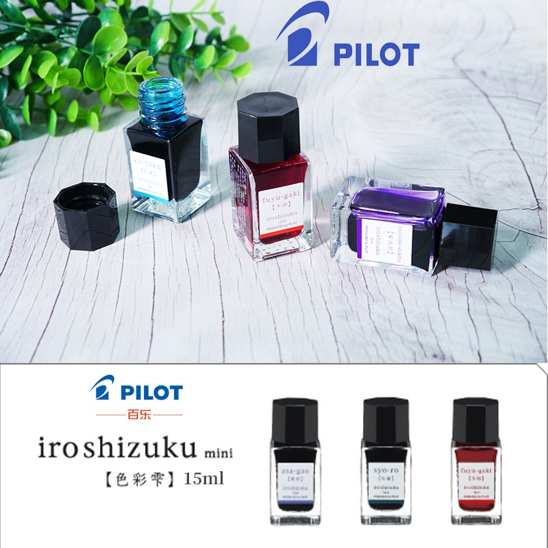 Fountain Pen Bottled Ink - Ink for Fountain Pen 15ml Water-based